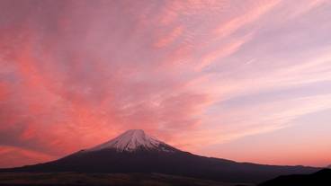 ランド ビュー / 30