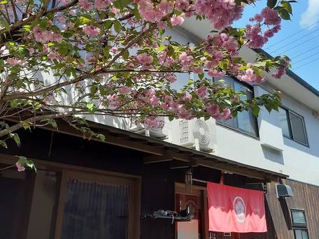 ゲストハウス ソイ / 4