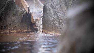 バスルーム / 37