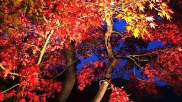 内装の詳細 / 23