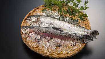 レストラン / 27