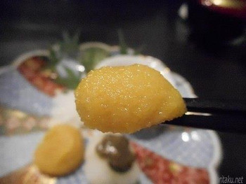 「地酒と料理　高田馬場研究所」 料理 70596366 生カラスミのアップ