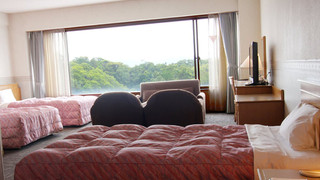 デラックスルーム【ノースウィング】 禁煙