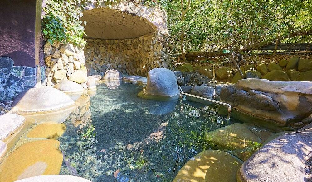 自家源泉かけ流しの
野趣溢れる露天風呂 / 3