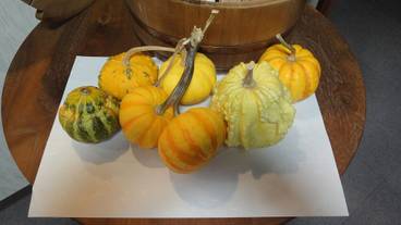 内装の詳細 / 31