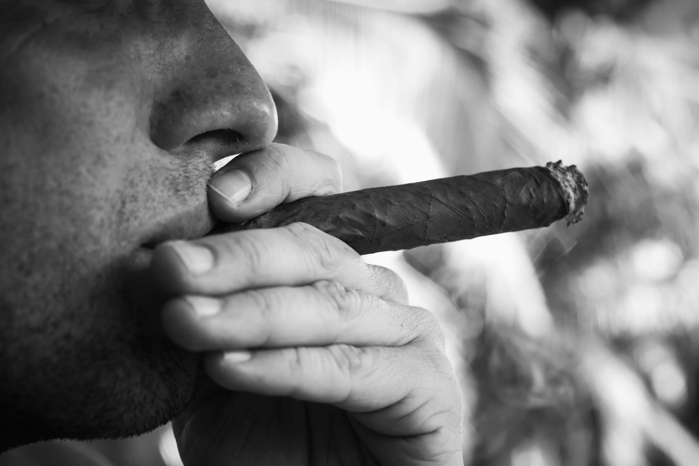 Young European man smokes big cigar, close up