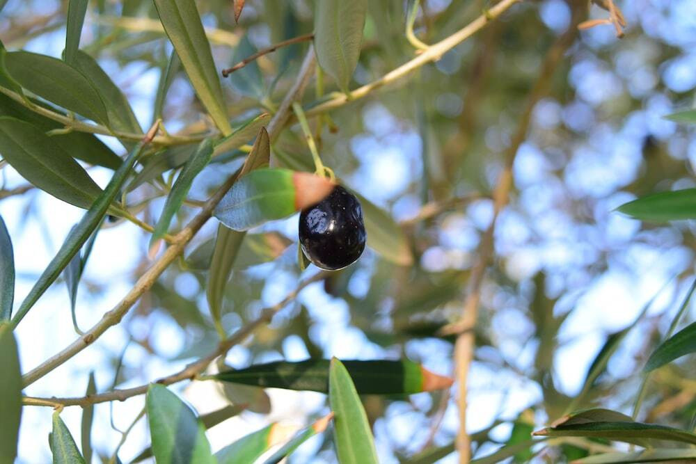 子供用の遊び場 - 屋外