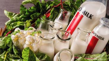 レストラン / 27