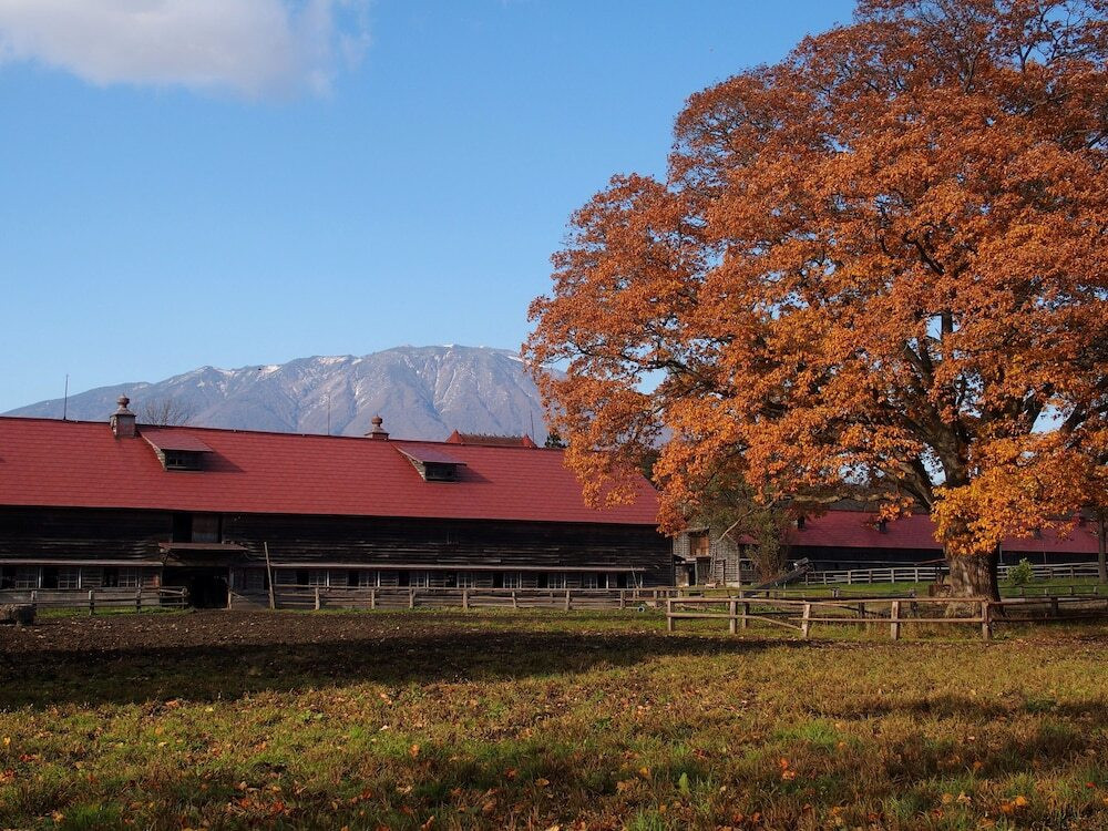 マウンテン ビュー