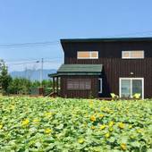 カントリーコテージ和樹あい愛(北海道 コテージ・ロッジ・一棟貸) / 2