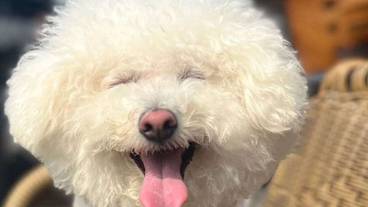 メイン イメージ / 1