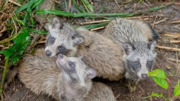 施設からの眺望 / 25