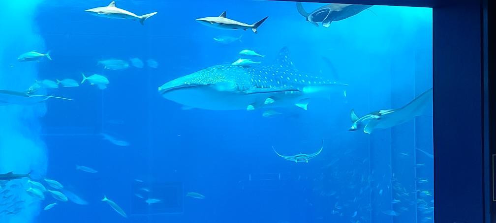 tamaemon2002さんの写真 / 3