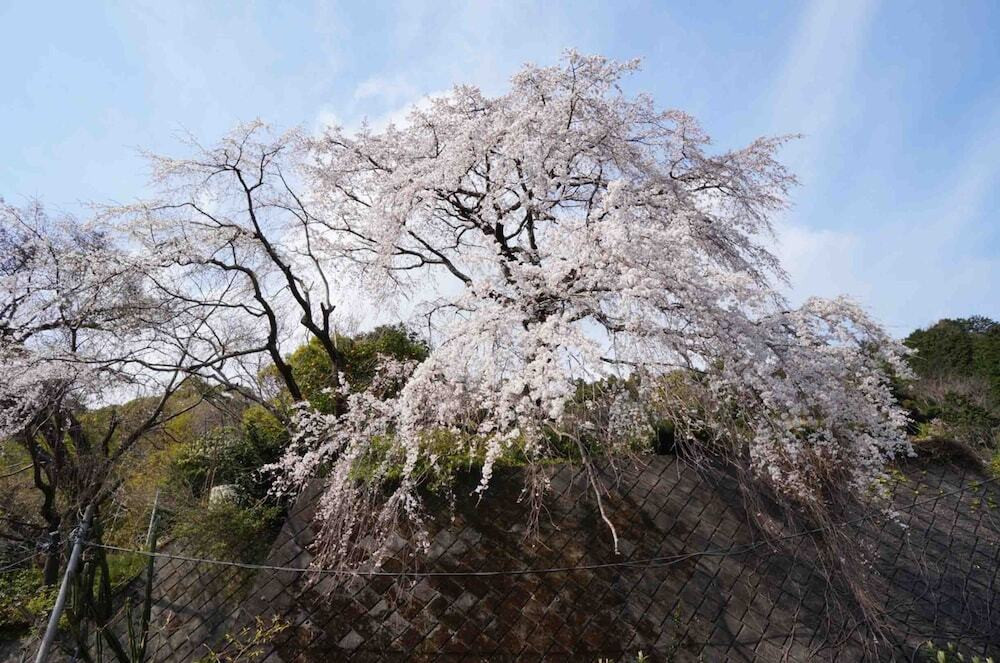 施設からの眺望