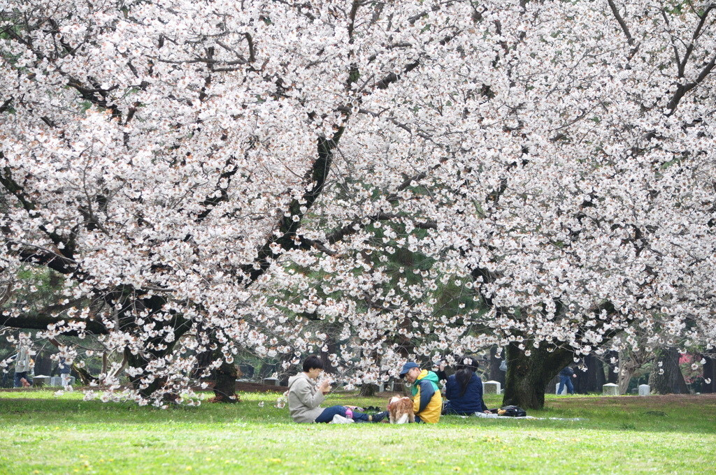 休日は芝生にごろ ん ピクニックが楽しめる東京の公園10選 Icotto イコット