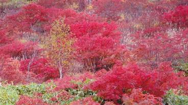 施設の敷地 / 17