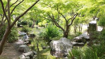 施設の敷地 / 11