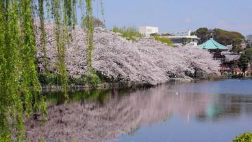 観光スポット / 21