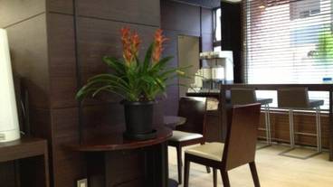 レストラン / 24