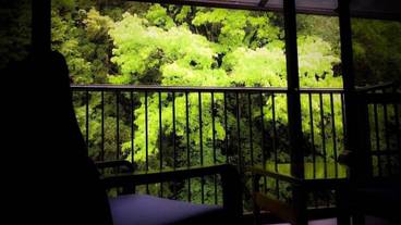 部屋からの景観 / 8