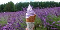 富良野でご当地グルメを楽しもう！おすすめのお店13選／北海道