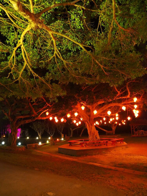 施設からの眺望