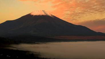 ランド ビュー / 36