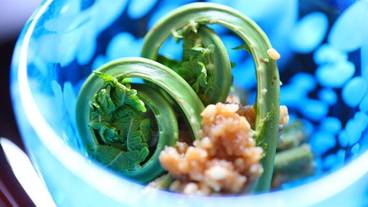 食事・飲み物 / 33