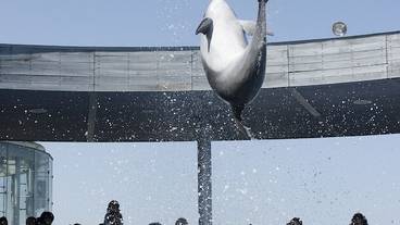 観光スポット / 1