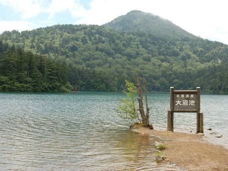 ホテル 山楽 / 5