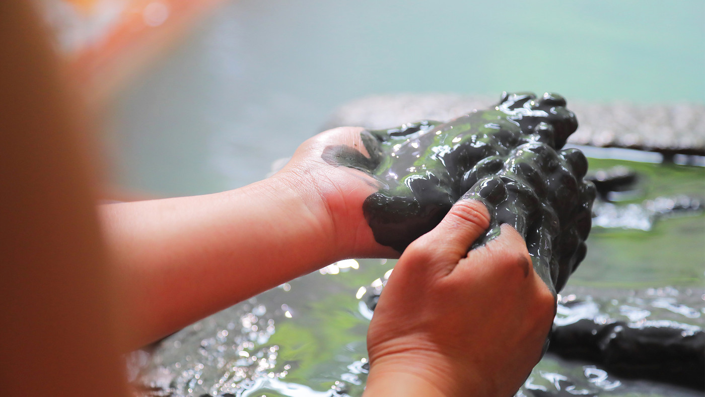 「泥湯」で大人も子どもも大はしゃぎ!4249197