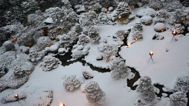 施設の敷地 / 24