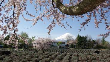 施設の敷地 / 15