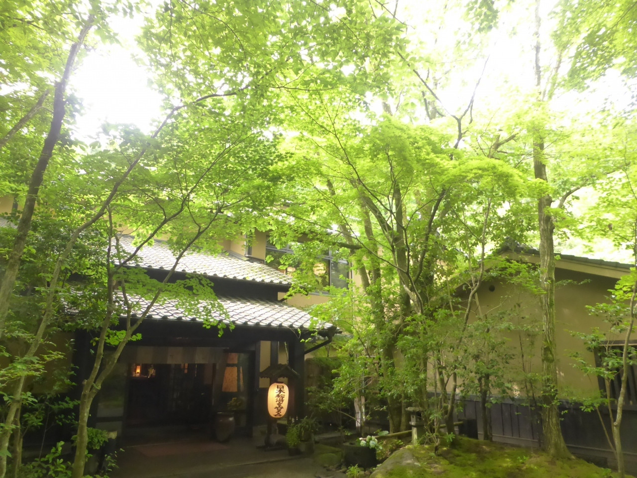  森に包まれてゆったりと深呼吸できる4043297