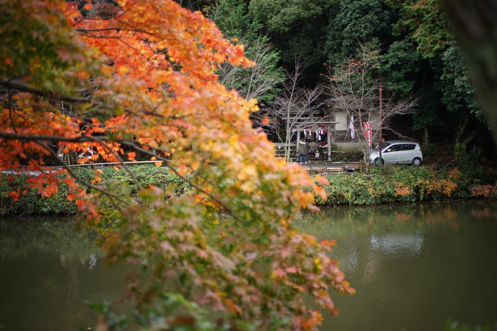 御髪神社の歴史1225506