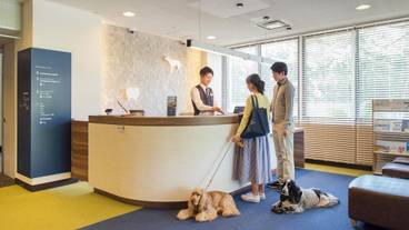 メイン イメージ / 1