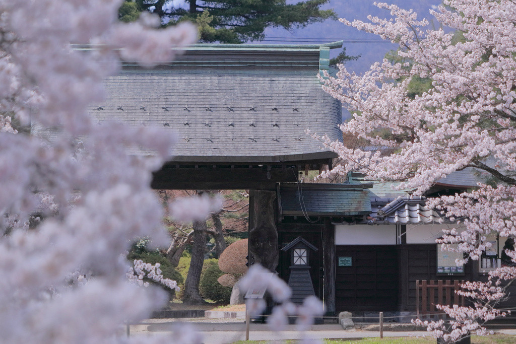 米沢牛、さくらんぼ、上杉神社、上杉まつり…。どれも魅力いっぱい！3756292