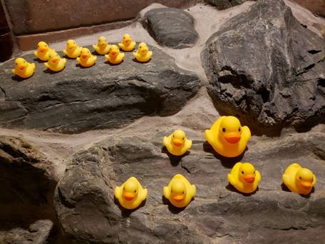 天然温泉 浪華の湯 ドーミーイン大阪谷町 / 3