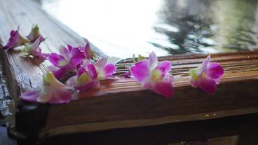 伊東温泉 青山やまと(セイザンヤマト) / 4