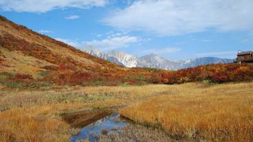 マウンテン ビュー / 30