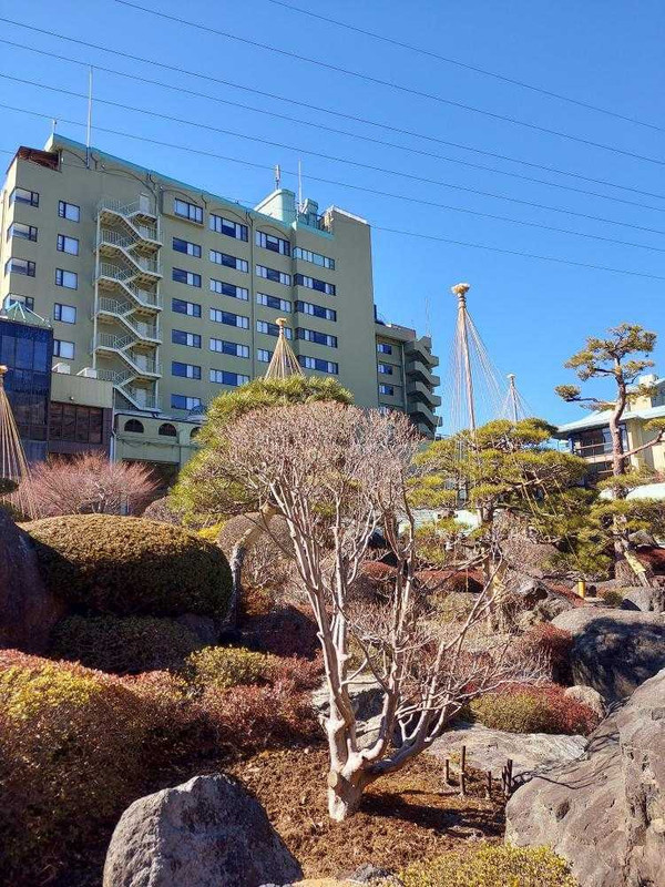 satoakeさんの写真 / 4