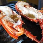 千葉の漁港でリーズナブルに海鮮三昧♪漁協の直営食堂がおすすめ