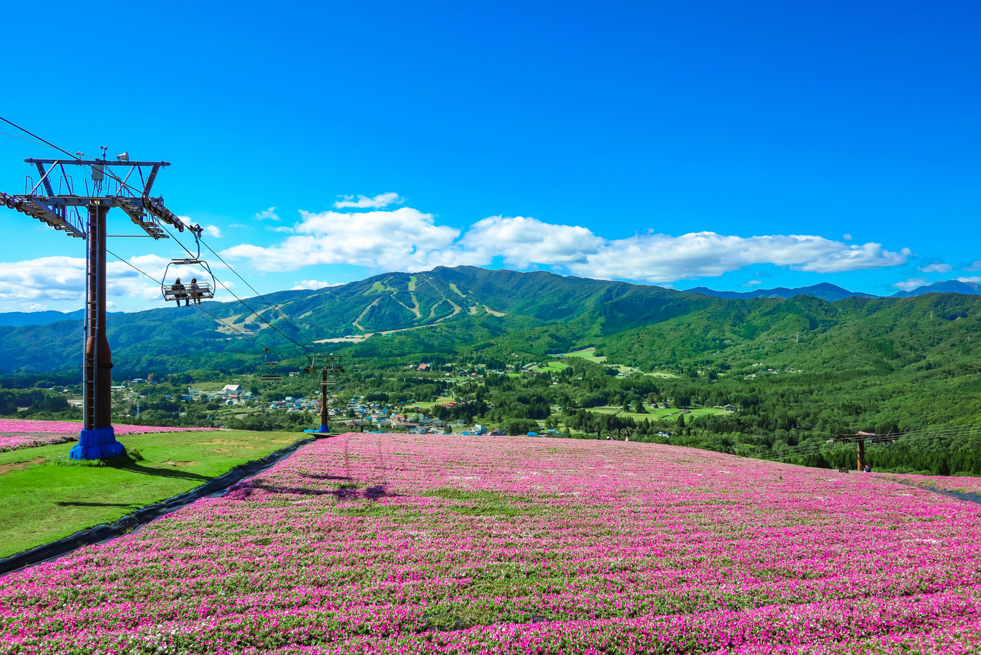 絶景の高原リゾート、ひるがのピクニックガーデン〈岐阜県郡上市〉