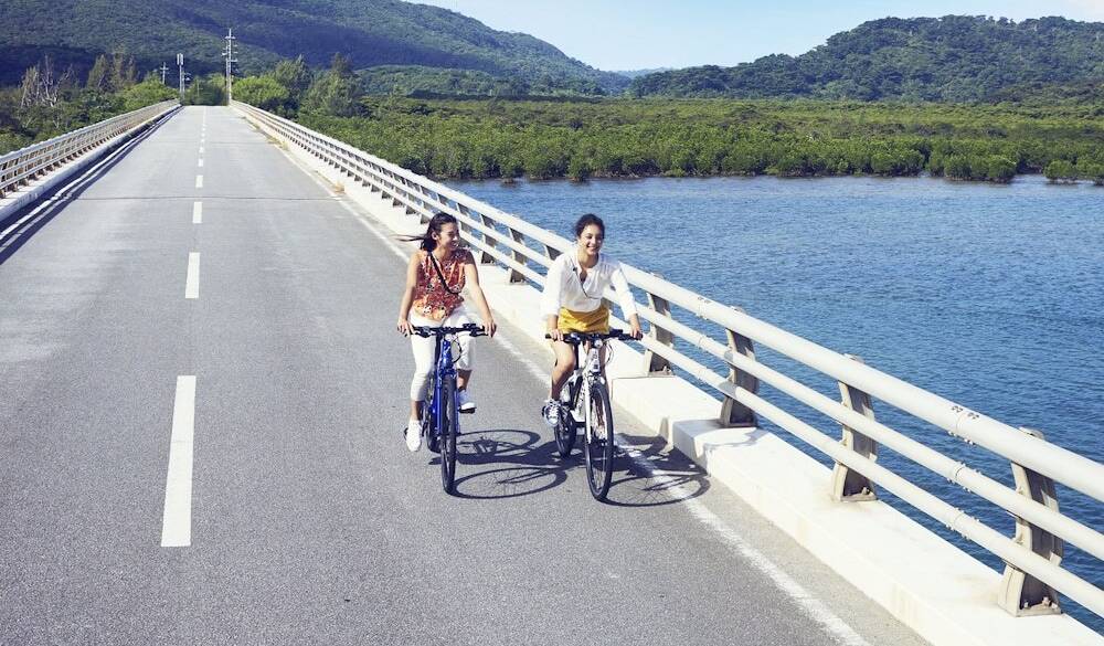 レンタサイクル / 5