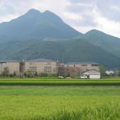由布院温泉 ゆふいんホテル秀峰館（大分県 旅館） / 5