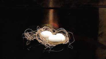 内部エントランス / 1