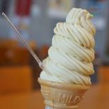 五千年の星(ゴセンネンノホシ)