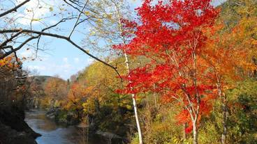 ランド ビュー / 19