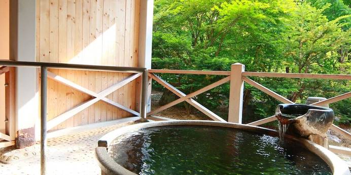 奥飛騨温泉郷 ひなの湯宿 松乃井(岐阜県 旅館) / 1