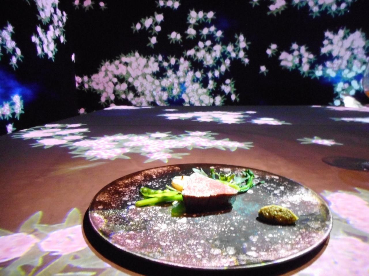 「MoonFlower Sagaya Ginza Art by teamLab」 内観 151812728 